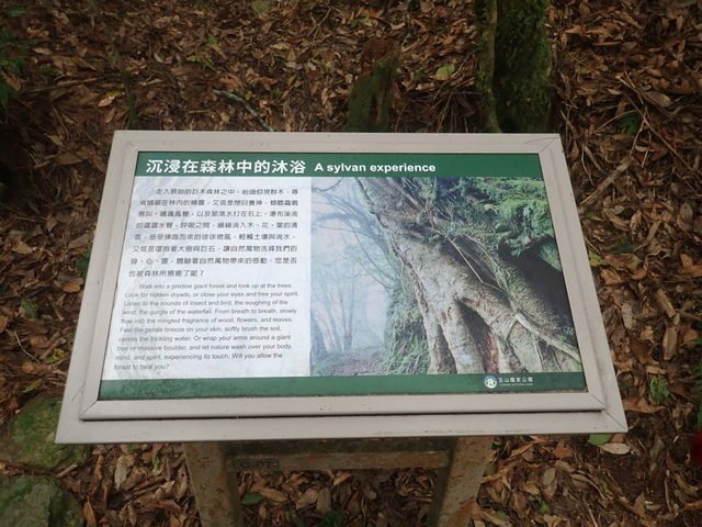 中之關古道 (41).JPG