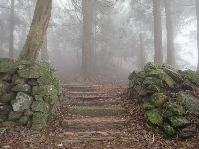 中之關古道 (101).JPG