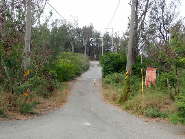 雙春濱海遊憩區 (16).JPG