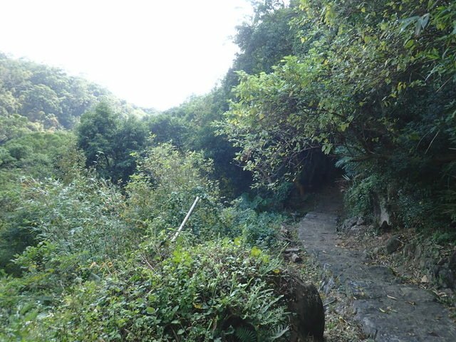 關渡 (153).JPG