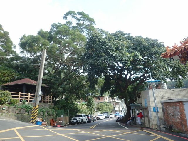 關渡 (192).JPG