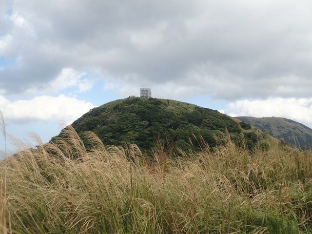 興福寮 (143).JPG