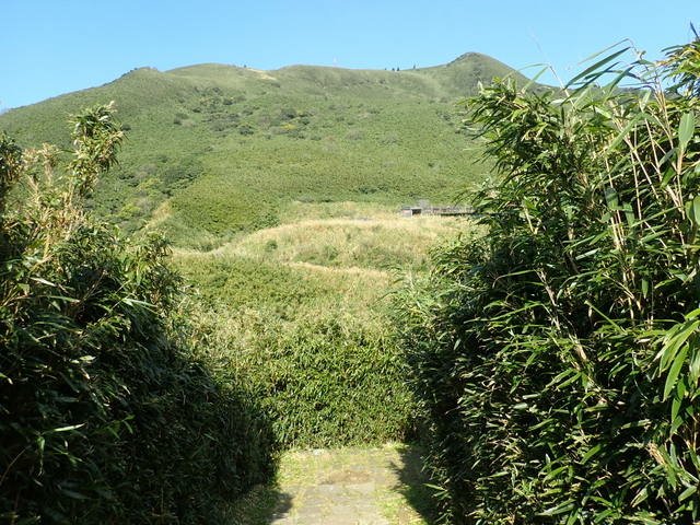 竹子湖 (134).JPG