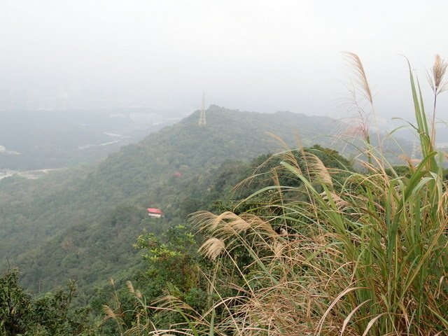 南港山 (107).JPG