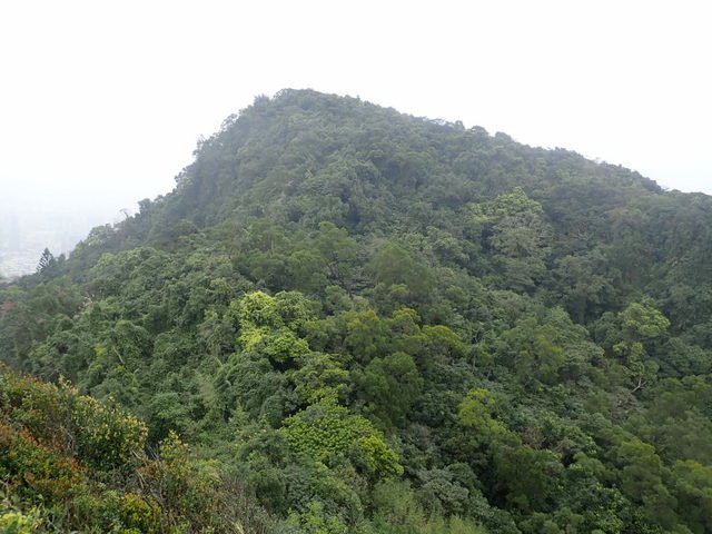 南港山 (169).JPG
