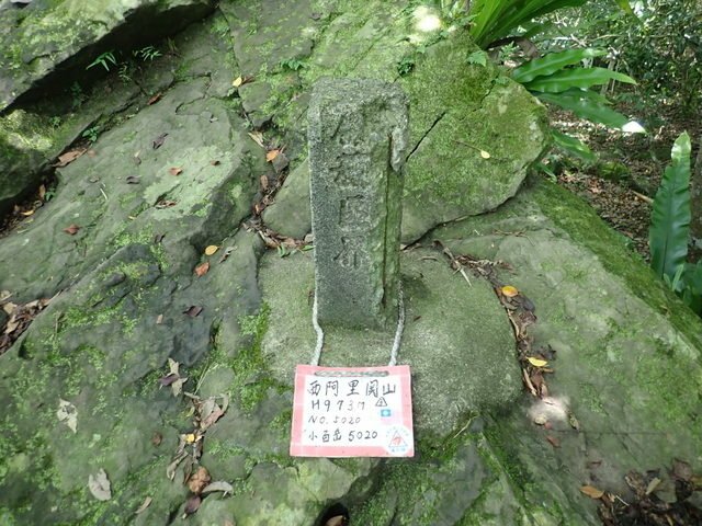 西阿里關山 (73).JPG