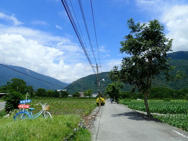 吉安 (164).JPG