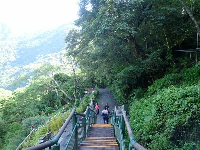 八通關東段 (19).JPG