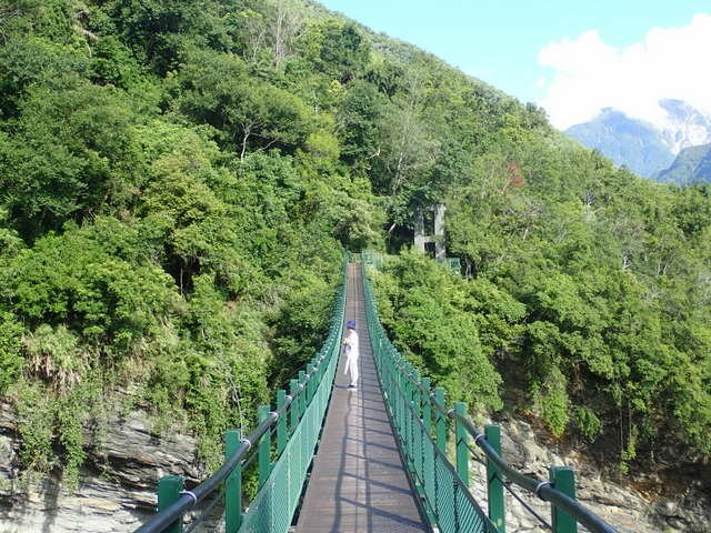 八通關東段 (24).JPG