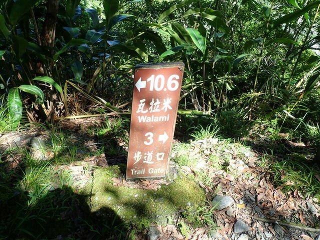 八通關東段 (86).JPG
