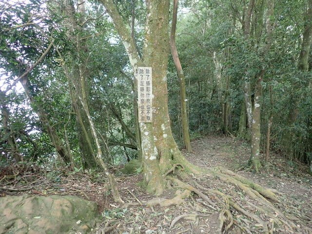 仙山 (38).JPG
