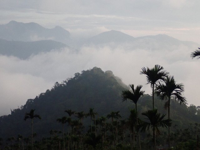 獨立山 (106).JPG