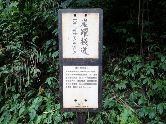 九寮溪 (154).JPG