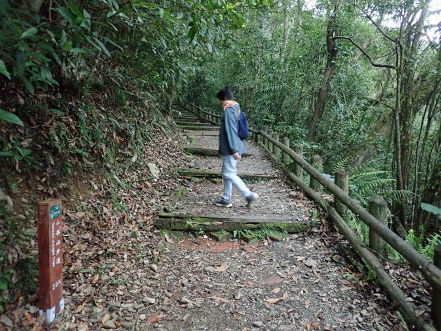 棲蘭山莊 (51).JPG