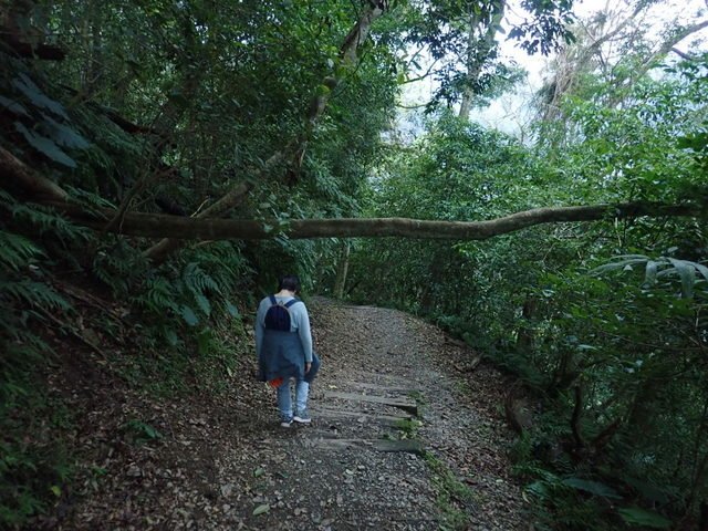 棲蘭山莊 (86).JPG