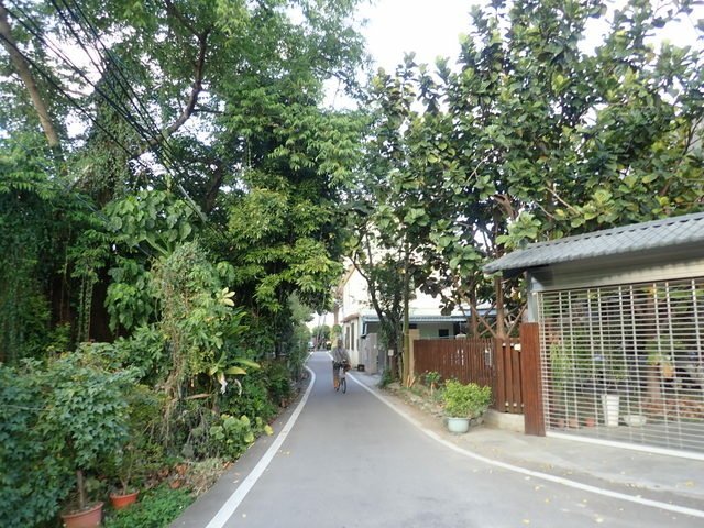 電火圳 (212).JPG