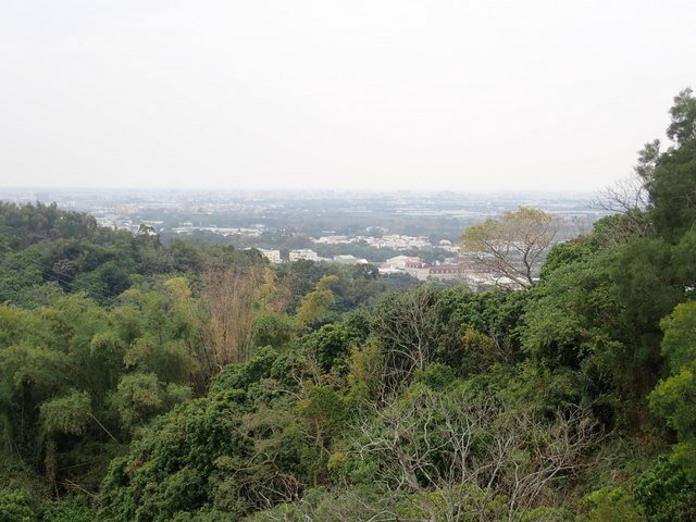 龍過脈登山步道 (37).JPG