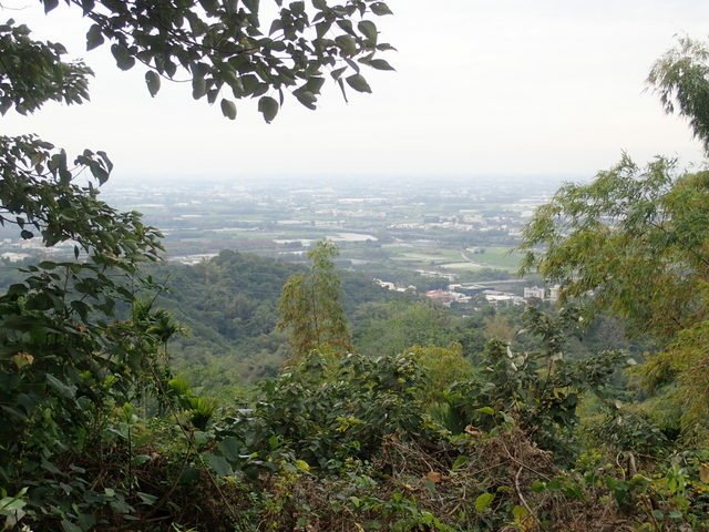 龍過脈登山步道 (125).JPG