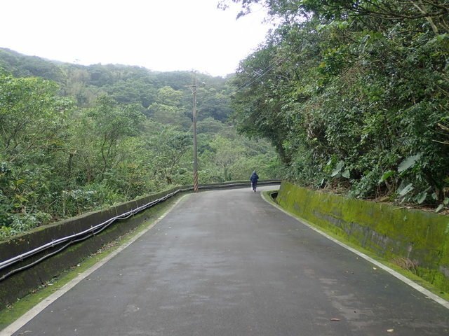 嶐嶺古道 (94).JPG