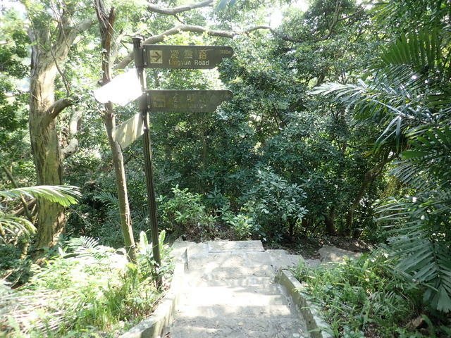 尖山 (73).JPG