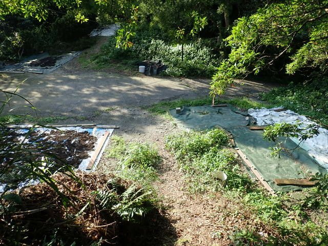 尖山 (159).JPG