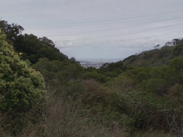 南寮竹坑步道 (47).jpg