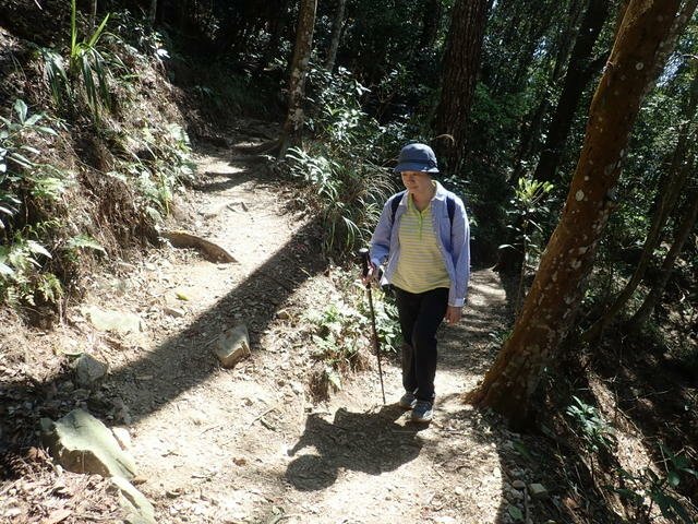 東卯山 (82).JPG