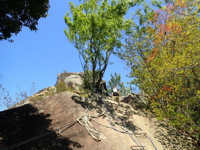 東卯山 (200).JPG