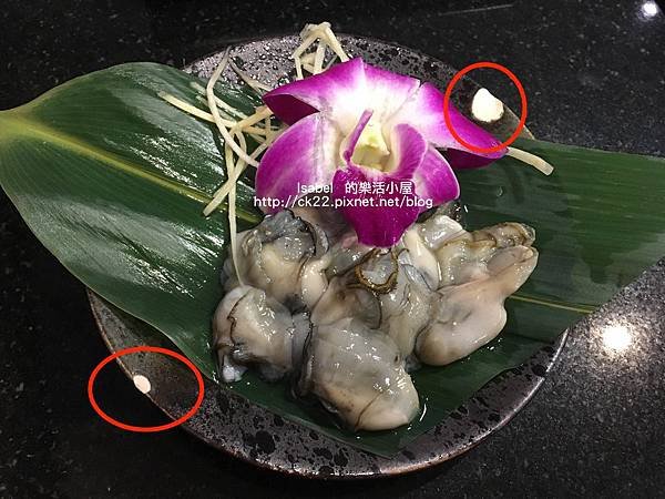（永春站）小鮮肉涮涮屋2019記