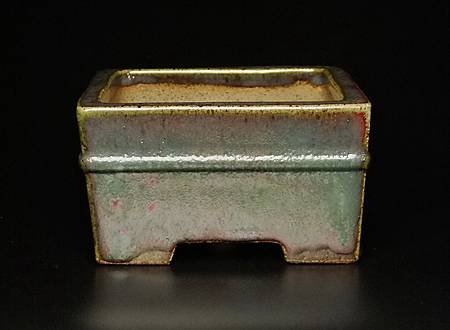 DSCF1396.jpg