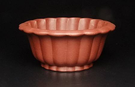 DSCF1542.jpg