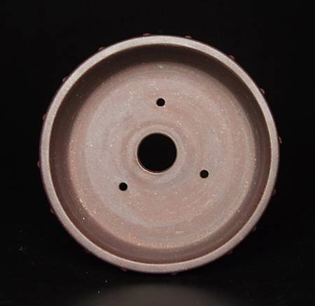 DSCF1966.jpg