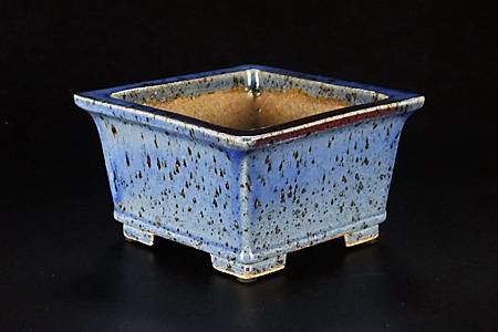 DSCF5426.jpg