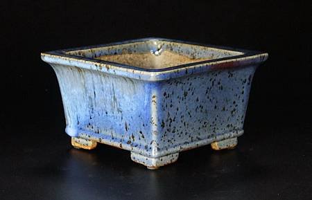 DSCF5436.jpg