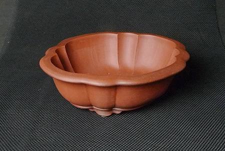 P1200440.jpg