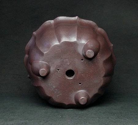 【進口紫砂盆】古紅泥 - 中品-三猫足菱花盆  07 10