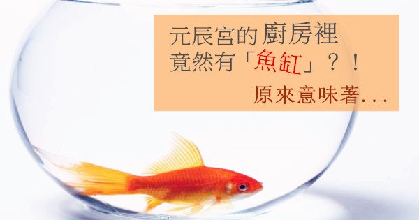 Aquarium-and-goldfish-0902185232.jpg