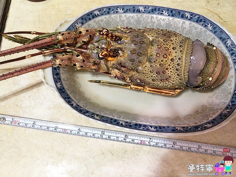 卡馬龍