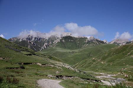 IMG_6307.jpg