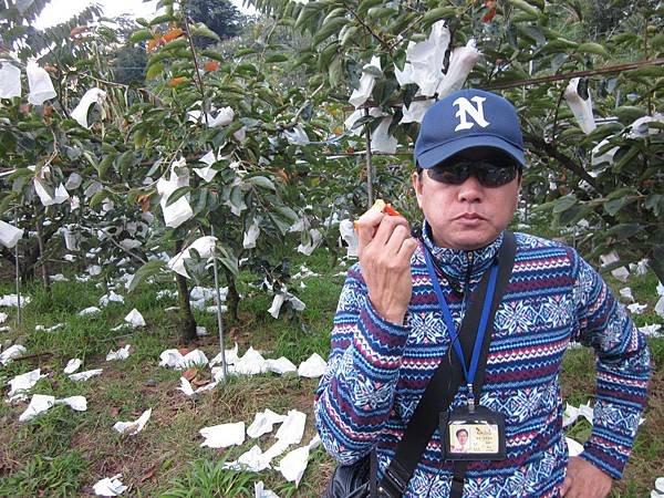 111.10.23柿外桃源之旅～清安豆腐街．雪山坑秘境．採摘