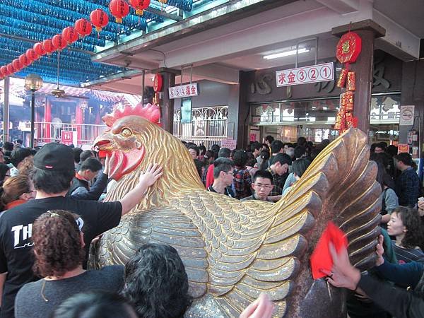 114.01.26-114.01.27春遊南投賞花之旅～玉山