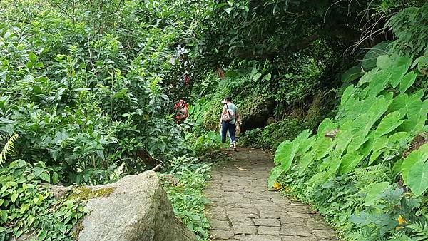 111.09.24基隆．龜山島賞鯨一日遊