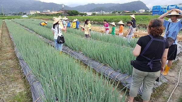 112.07.29-112.07.30宜蘭．太平山二日遊