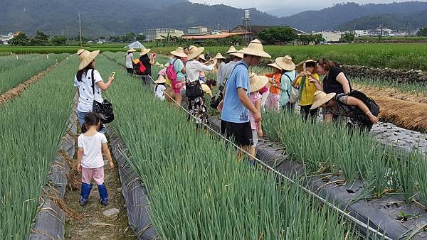 112.07.29-112.07.30宜蘭．太平山二日遊