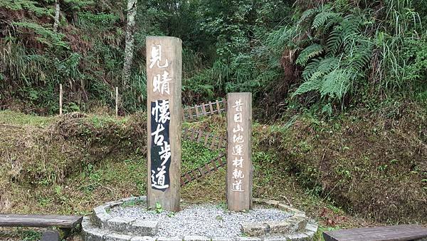 20160713_095254.jpg