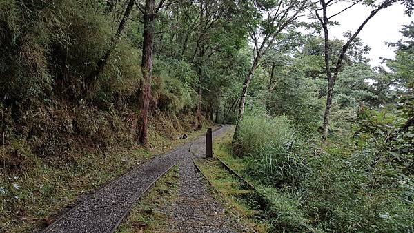 113.07.06-113.07.07宜蘭．太平山二日遊