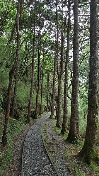 20160713_095953.jpg