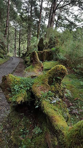 20160713_100351.jpg