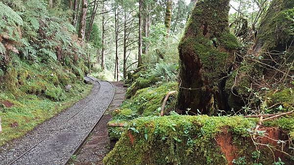 20160713_100431.jpg