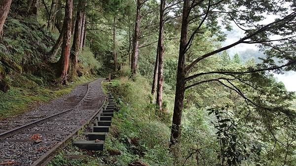 113.07.06-113.07.07宜蘭．太平山二日遊